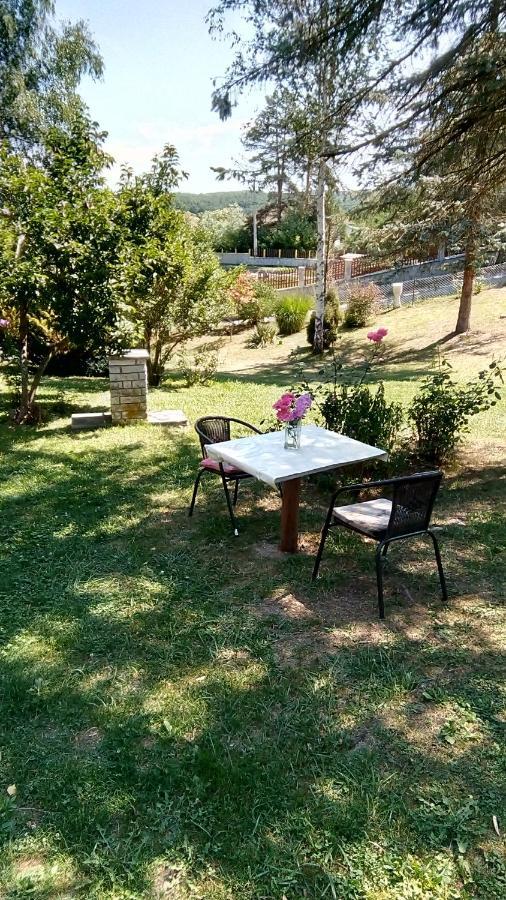Takovo - Odmor U Selu Βίλα Gornji Milanovac Εξωτερικό φωτογραφία