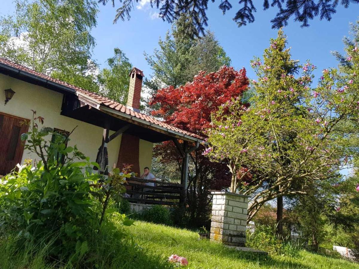 Takovo - Odmor U Selu Βίλα Gornji Milanovac Εξωτερικό φωτογραφία